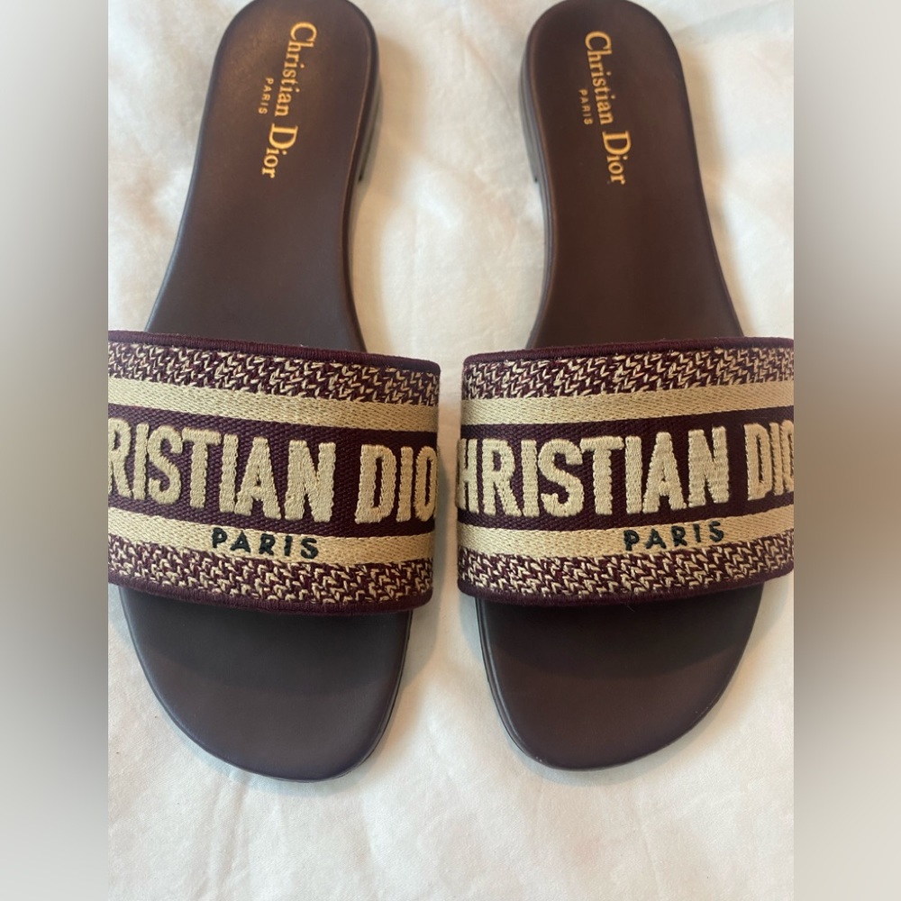 Christian dior dway slide